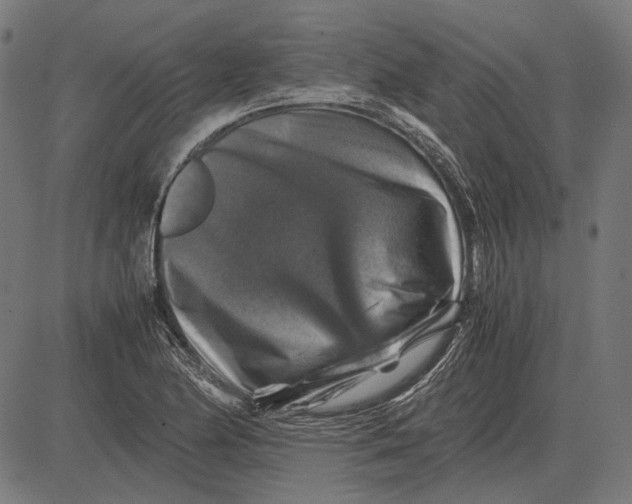 X0000081471174200702021825