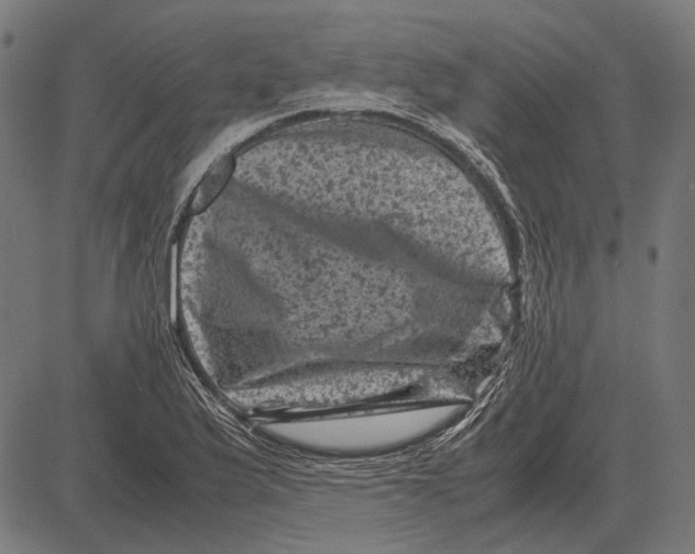 X0000081471175200702021825