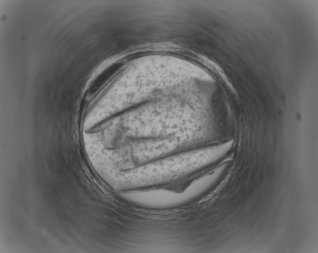 X0000081471176200702021825