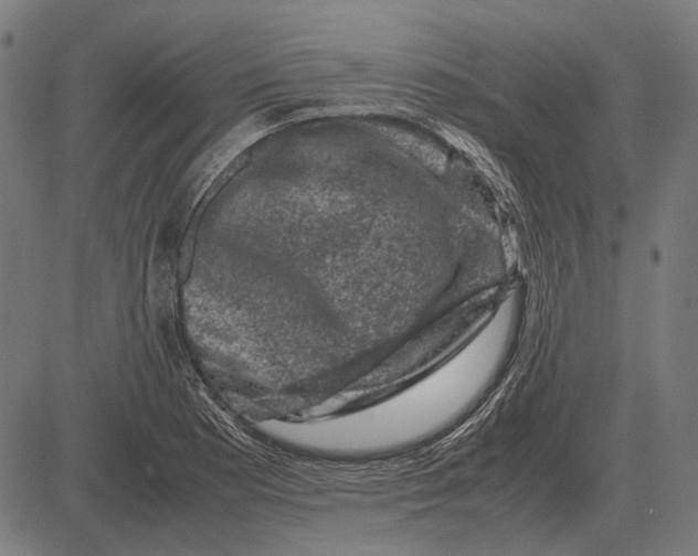 X0000081471177200702021825