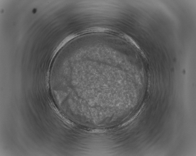 X0000081471178200702021825