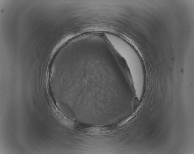 X0000081471179200702021825