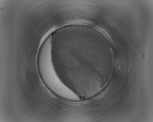 X0000081471180200702021825