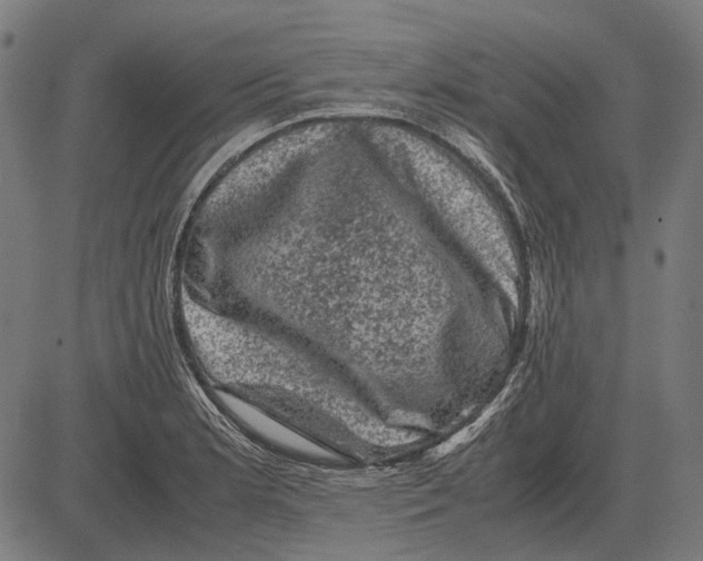 X0000081471181200702021825