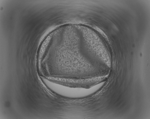 X0000081471183200702021825