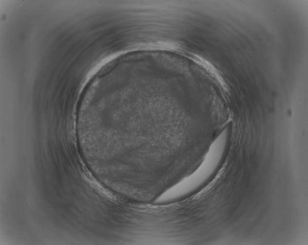 X0000081471184200702021825