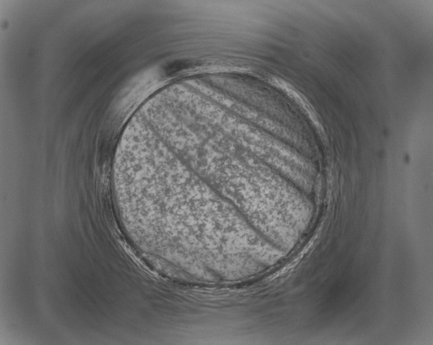 X0000081471185200702021825