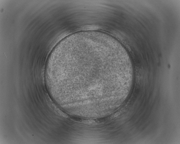 X0000081471186200702021825