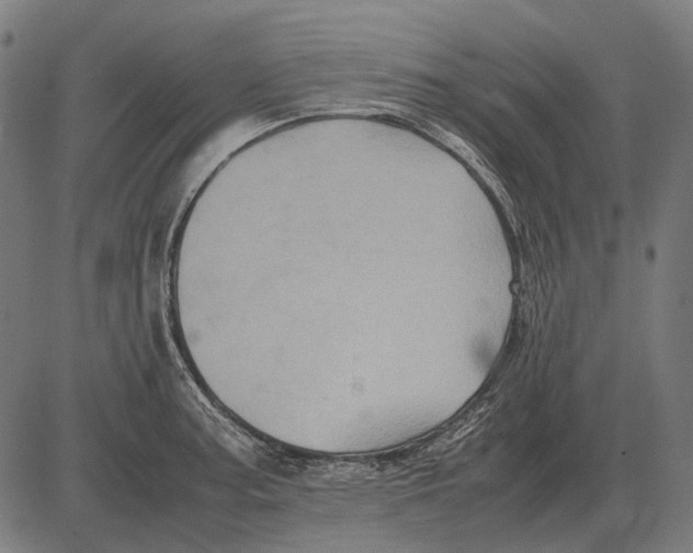 X0000081471187200702021825