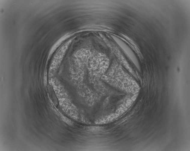 X0000081471188200702021825