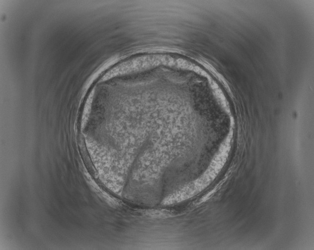 X0000081471189200702021825