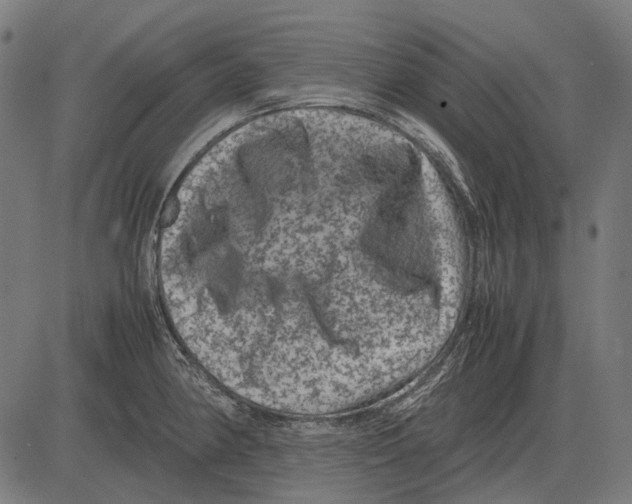 X0000081471190200702021825