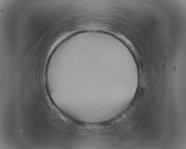 X0000081471191200702021825