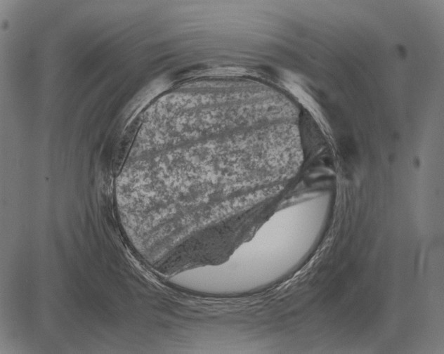 X0000081471193200702021824