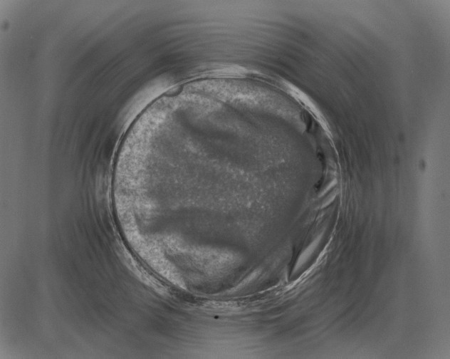 X0000081471194200702021824