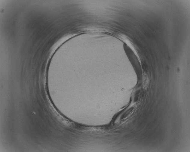 X0000081471195200702021824