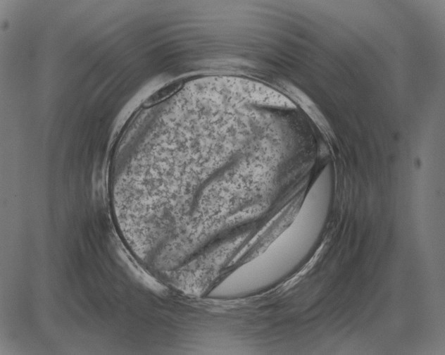 X0000081471196200702021824