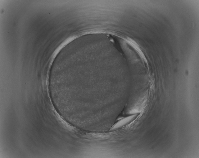 X0000081471197200702021824