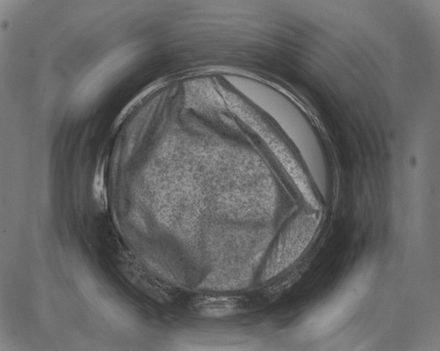 X0000081471198200702021824