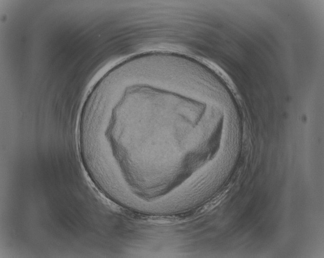 X0000081471199200702021824