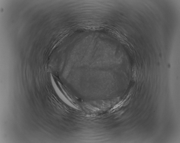 X0000081471202200702021824