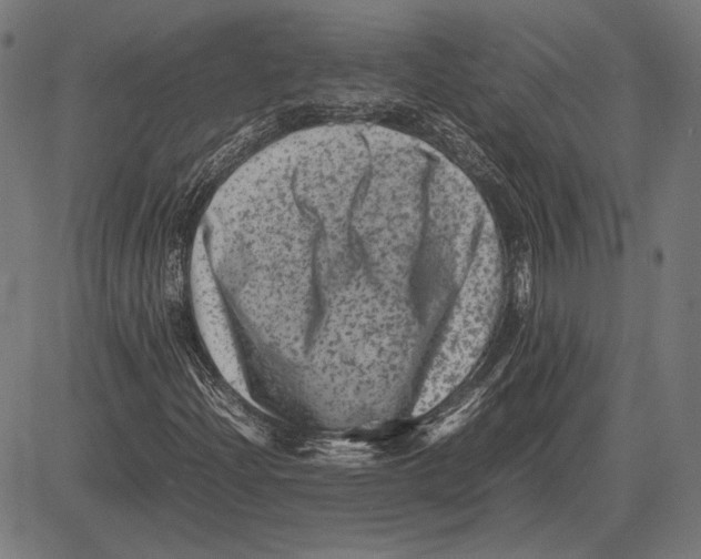 X0000081471204200702021824