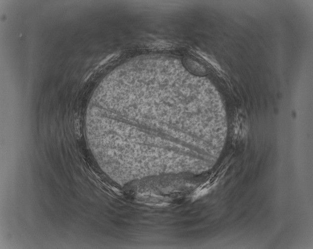 X0000081471205200702021824