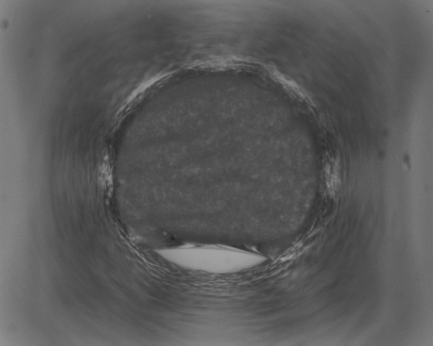 X0000081471206200702021824