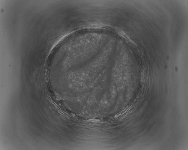 X0000081471208200702021824