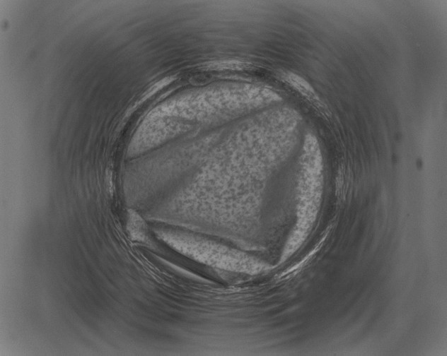 X0000081471209200702021824