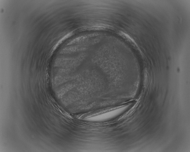 X0000081471210200702021824