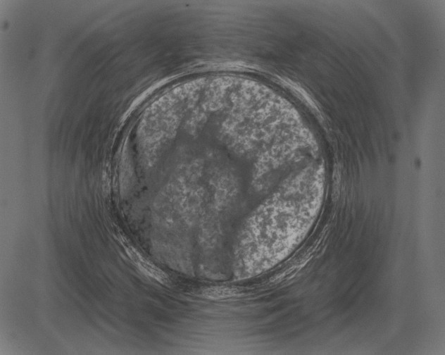 X0000081471212200702021824