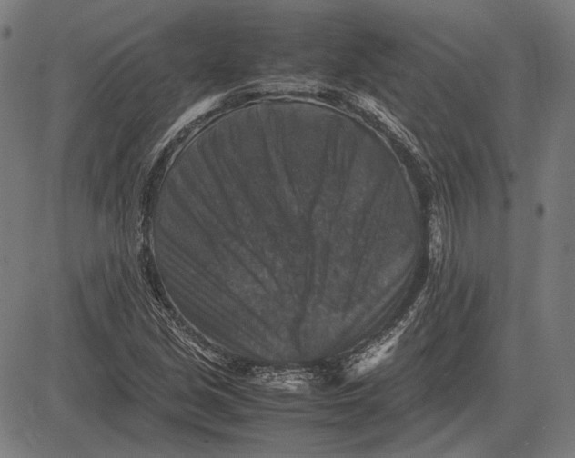 X0000081471213200702021824