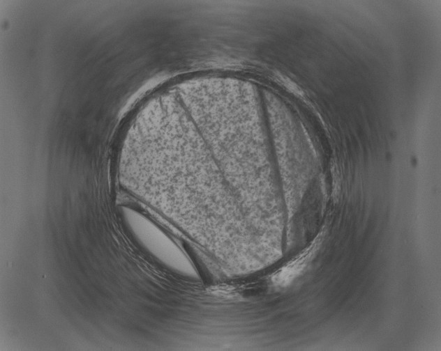 X0000081471214200702021824