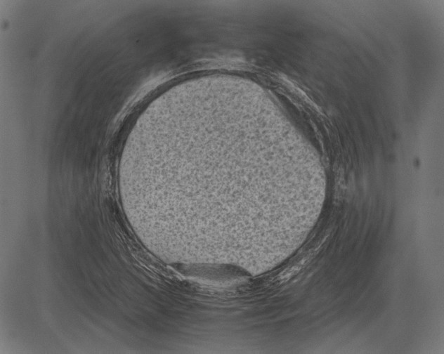 X0000081471215200702021824