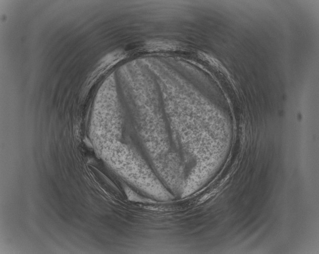 X0000081471217200702021824