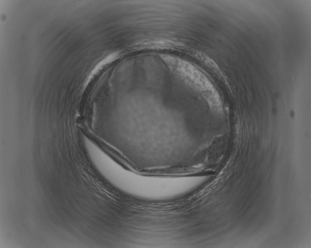 X0000081471218200702021824