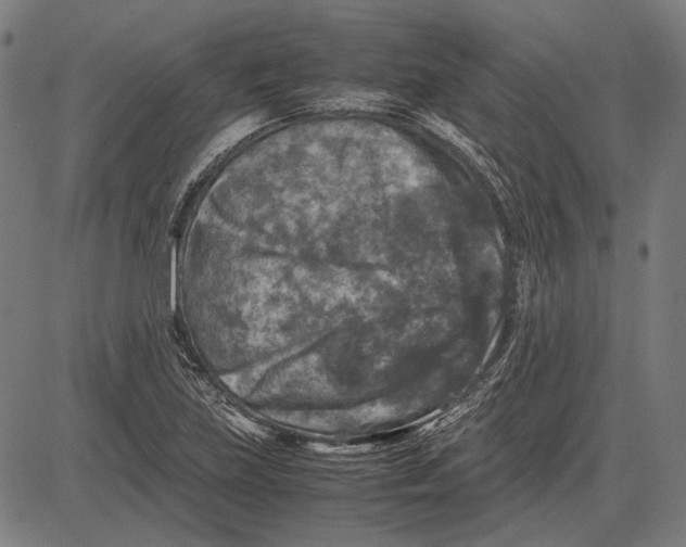 X0000081471219200702021824