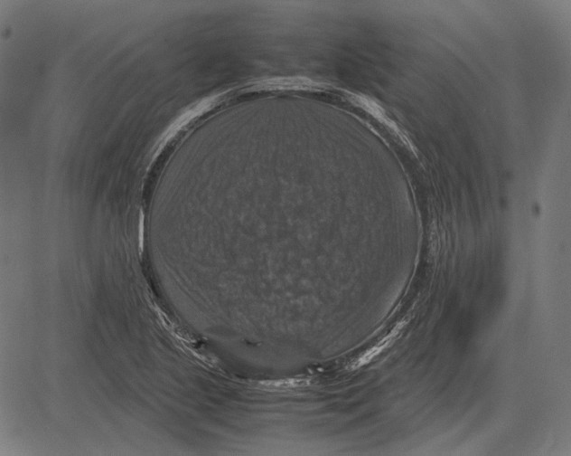 X0000081471221200702021824