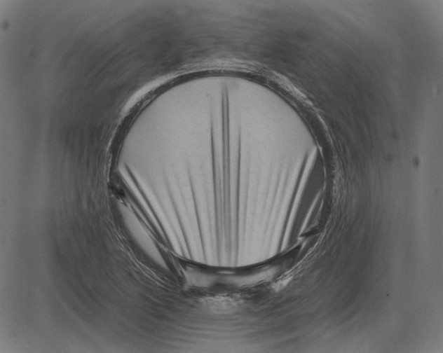 X0000081471222200702021824