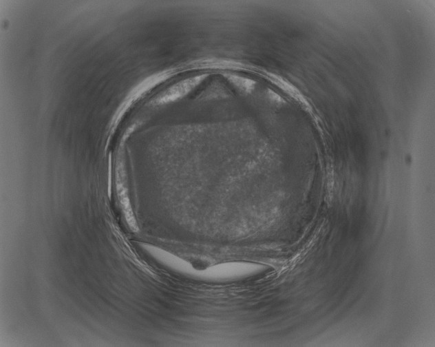 X0000081471223200702021824