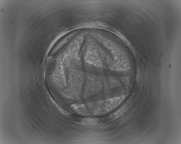 X0000081471224200702021824