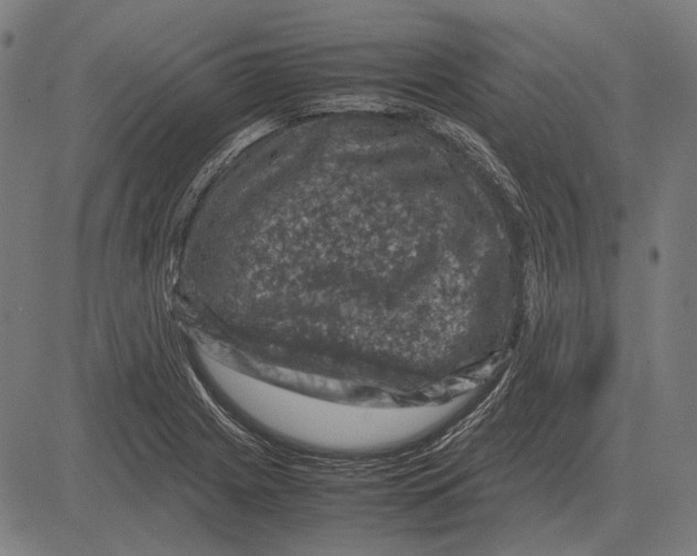 X0000081471225200702021824