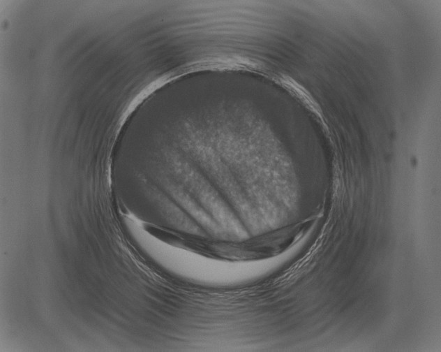 X0000081471226200702021824