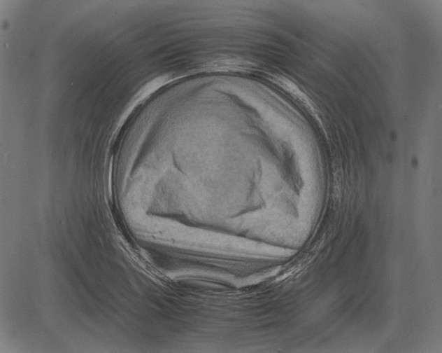 X0000081471227200702021824