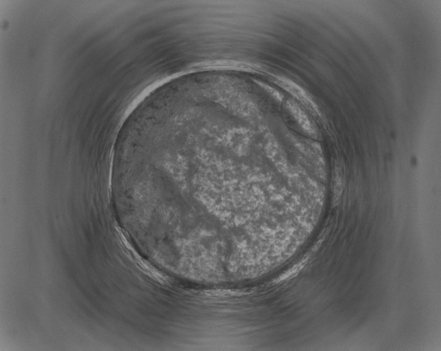 X0000081471228200702021824