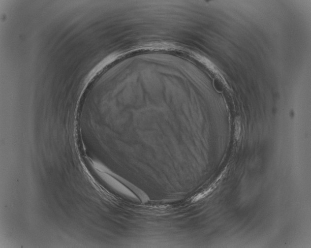 X0000081471229200702021824