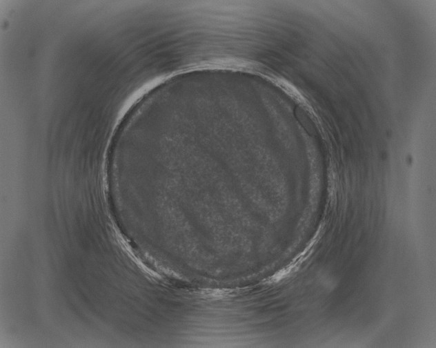 X0000081471230200702021824