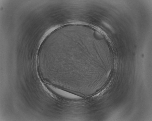 X0000081471231200702021824