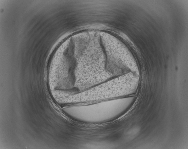 X0000081471232200702021824